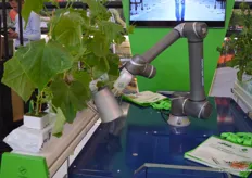 Innovation for irrigation, with a wink